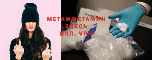 индика Сураж