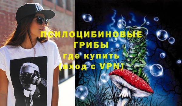 гидропоника Арсеньев