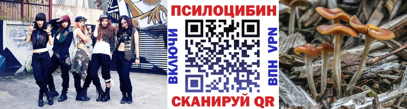 Галлюциногенные грибы GOLDEN TEACHER  Барыш 